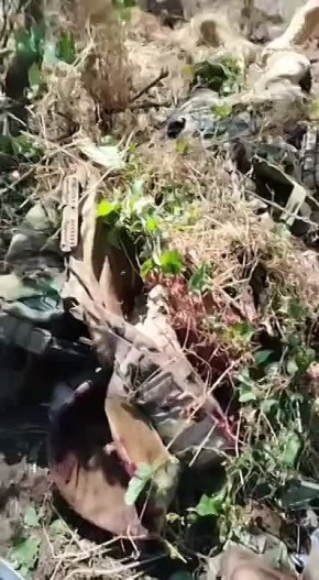   10-  ,      - 