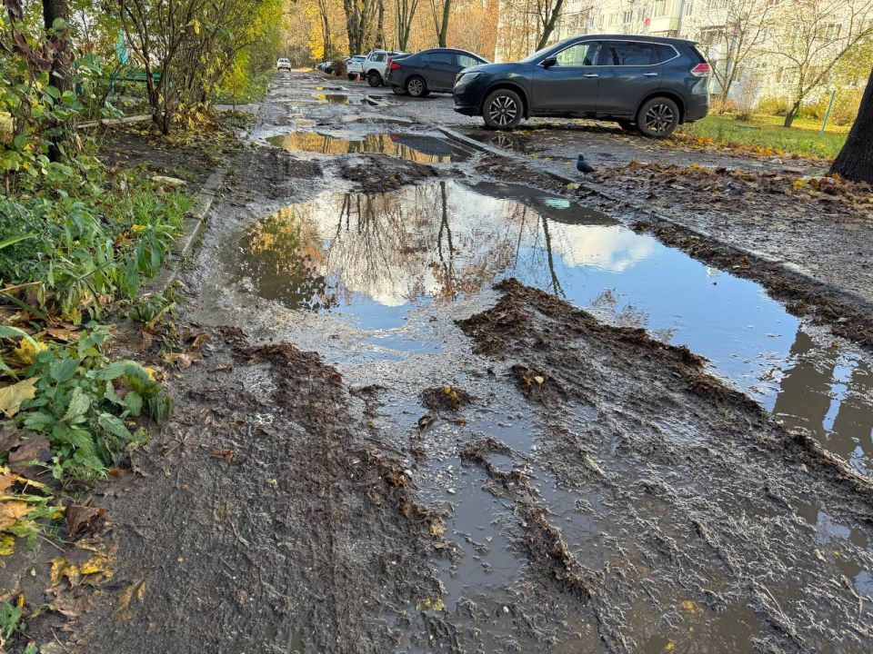 Ольга Курлаева: На малой родине в Тульской области без перемен