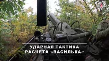  :            