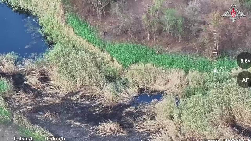 ���������� ������: � ���� �������� �� ������������ ����������� ������ �������� � ���������������� ������� ��� ������������ �������� ���� �� ������� � �������� �������� ����������� �������������� 228-�� ��������������� �����...