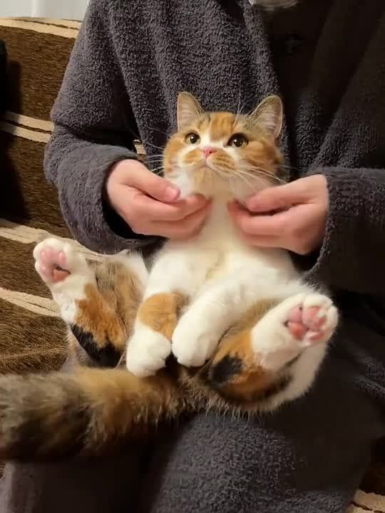 Умей находить радость в жизни — это лучший способ привлечь счастье