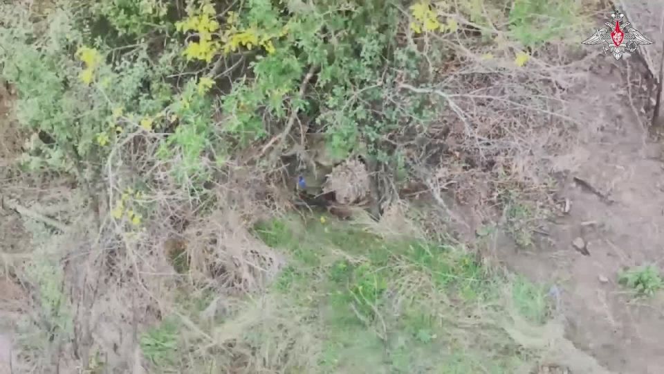 Минобороны России: Наши дроноводы – мастера своего дела