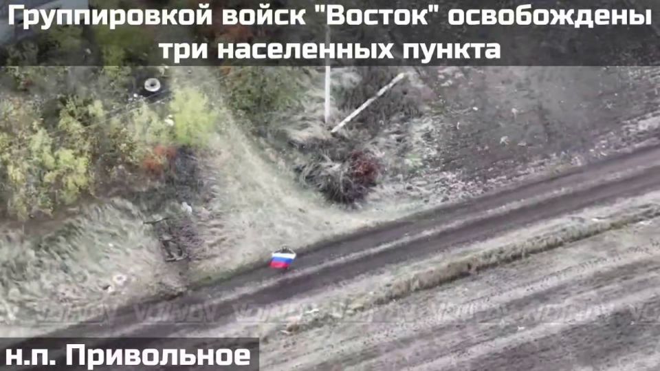 Владимир Рогов: Я поднимаю свой флаг!. Русские воины из подразделений группировки «Восток» подняли флаги России сразу в трёх населённых пунктах Владимир Рогов: Я поднимаю свой флаг!. Русские воины из подразделений группировки «Восток» подняли флаги России сразу в трёх населённых пунктах