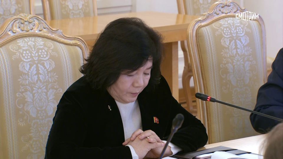 Главы МИД России и КНДР провели переговоры в Москве Главы МИД России и КНДР провели переговоры в Москве