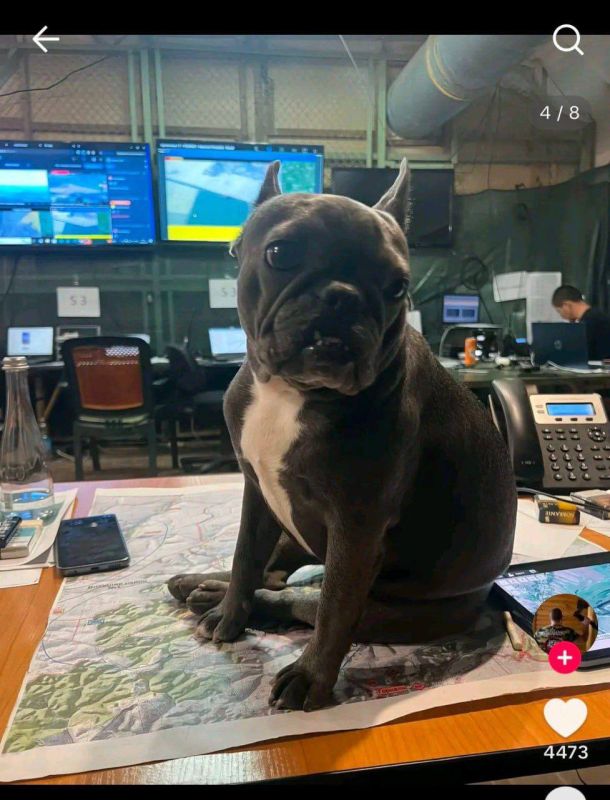 Алексей Живов: Командующий ВСУ Валентин Манько опубликовал в соцсети фото карт боевых действий с пометкой «секретно», сообщают СМИ противника