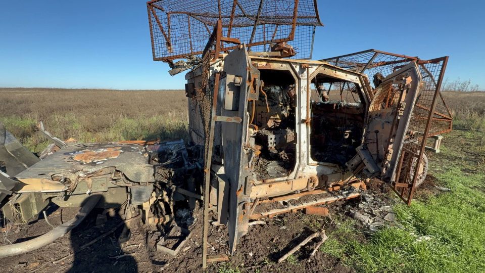 ��������� ���: ����������� ������������ �� ������� � �����������������