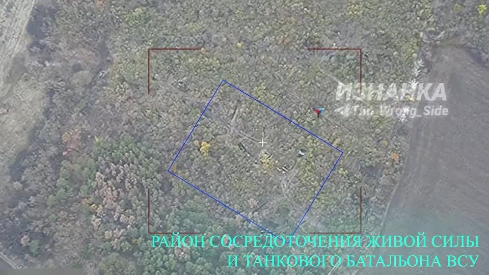 ���� ���� ��������� �� ������ �������������� ������� ������� � ������� 44-�� ���� ��� � ������ ����������� ���������������� �������