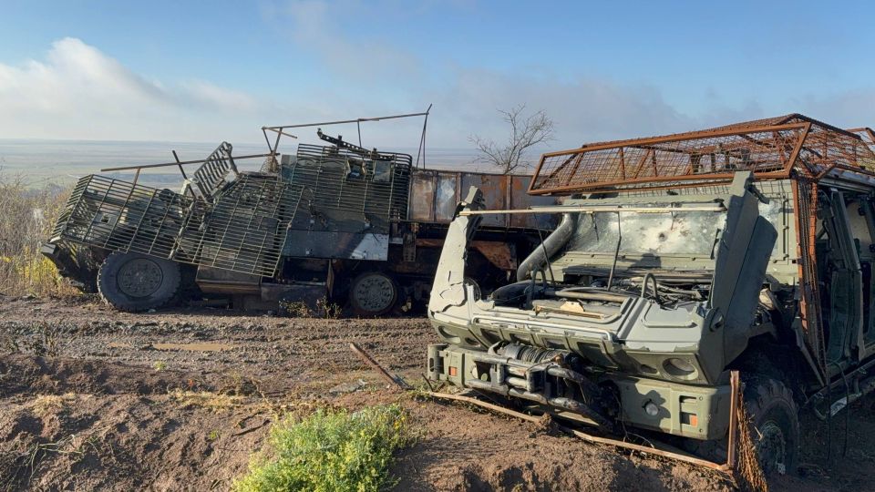 ��������� ���: ����������� ������������ �� ������� � �����������������