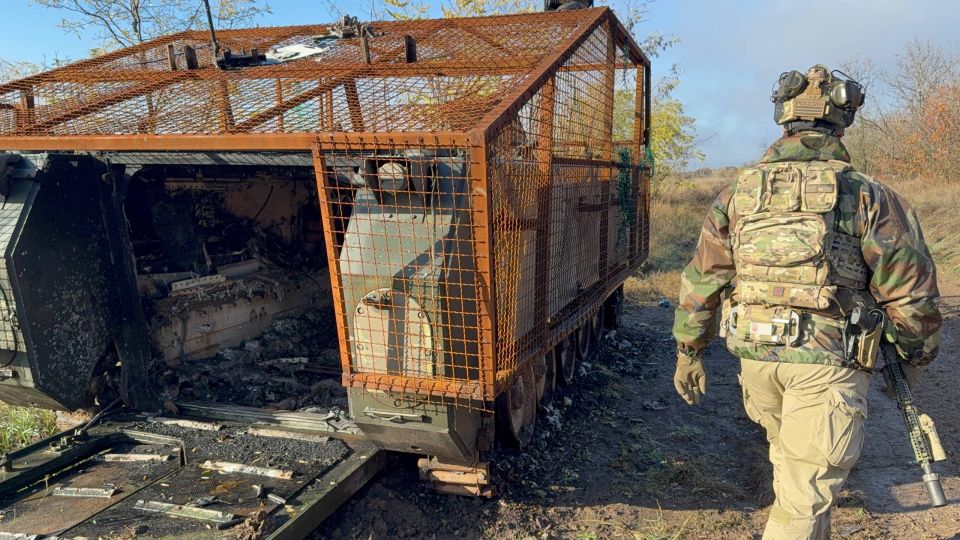 ��������� ���: ����������� ������������ �� ������� � �����������������