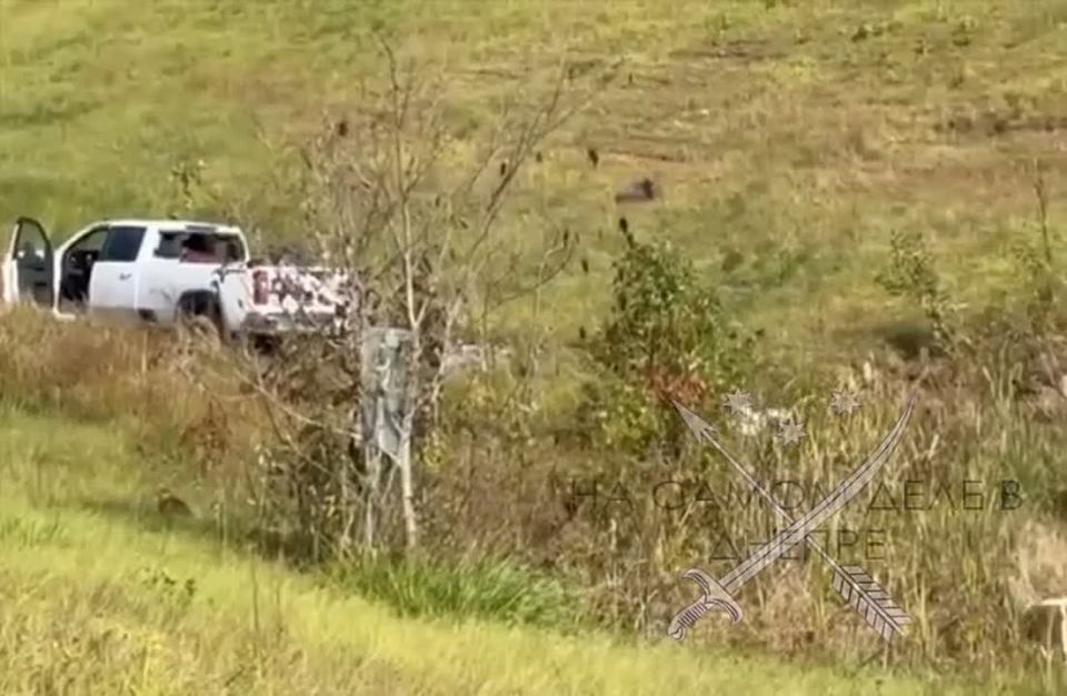 ������ �������. ����� ������ � ������������ ����� ������������ �� ��������� ������� ������, ��������� ��������� C, �������� � �������������