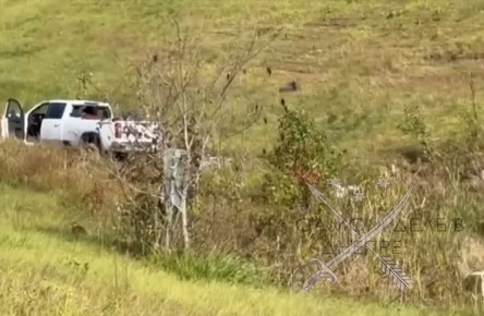 Макаки атакуют. После аварии в американском штате Пенсильвания из грузовика сбежали макаки, заражённые гепатитом C, герпесом и коронавирусом