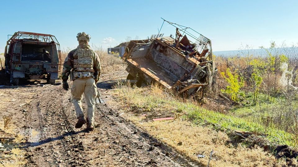 ��������� ���: ����������� ������������ �� ������� � �����������������