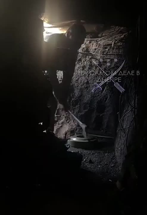 ����� 425 ��� ����� ����������� � ������� ����