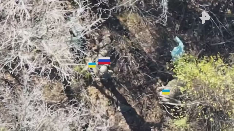 Кадры освобождения населенного пункта Вишневое в Днепропетровской области опубликовало Минобороны РФ