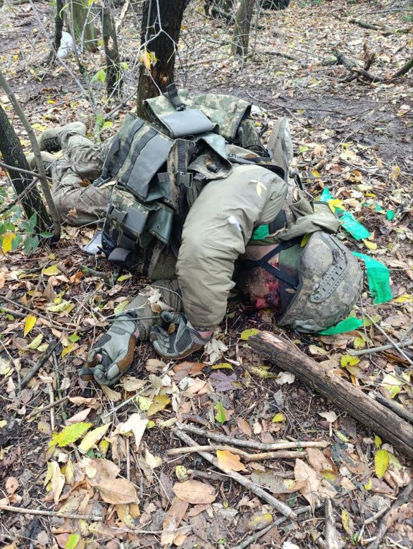 Чингис Дамбиев: Еще один "тарасик" прилег отдохнуть в лесополках на Южно-Днепропетровском направлении