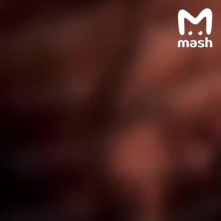 ���������� ����� ������� ������������� ���� �� �������������� �������������� ������� � � ����������� "��������", "��������", "����������", �������� ����� � ����