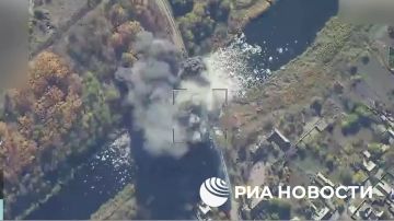 Российские войска уничтожили мост через реку Волчья, по которому ВСУ подвозили боеприпасы и технику к Покровскому в Днепропетровской области, сообщили в Минобороны