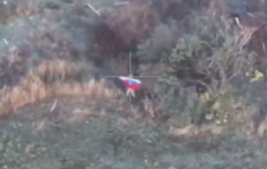 ���������� ����������� ������������ ����������������� � ���������������� �������