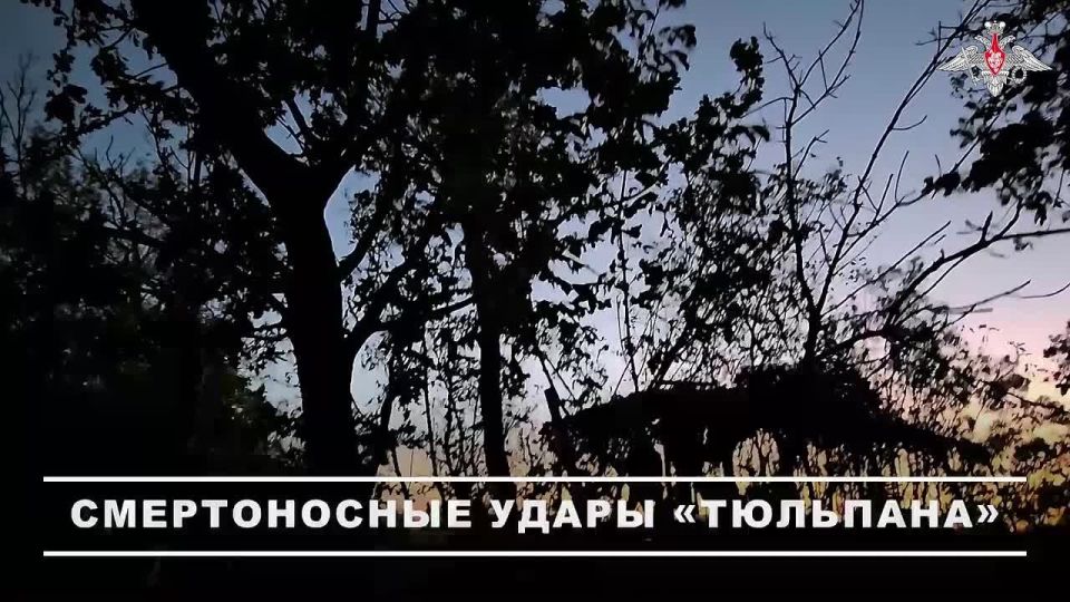 Минобороны России: Расчёт самоходного миномёта «Тюльпан» группировки войск «Восток» уничтожил укреплённый пункт управления БПЛА противника в Днепропетровской области