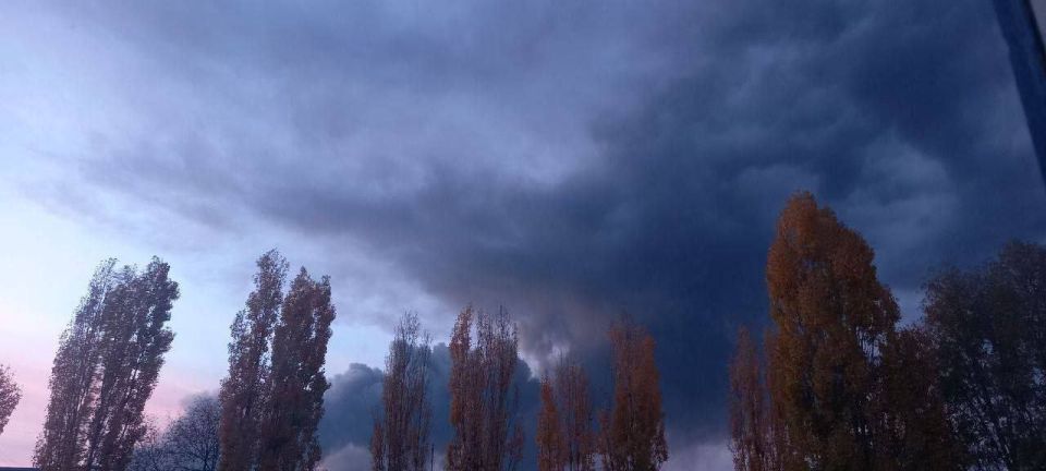 � ���������������� ������� ��������� ������ �� ���� ��������� �������