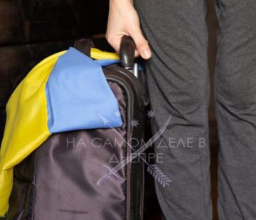 Власти Ирландии скорректировали условия размещения украинских беженцев в государственном жилье