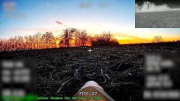 Расчеты ударных БПЛА группировки "Восток" сорвали переброску боевиков ВСУ в Днепропетровской области