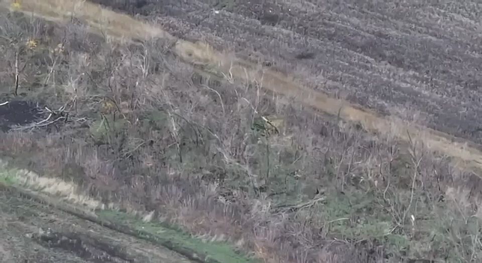 Владимир Разин: Так выглядит контрнаступление ВСУ под Покровском