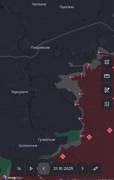 Армия России обходит основные укрепления ВСУ и двигается в сторону Запорожья