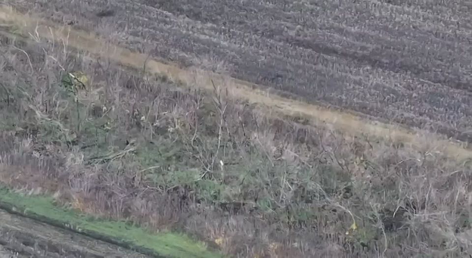 Записки ветерана: Так выглядит контрнаступление ВСУ под Покровском