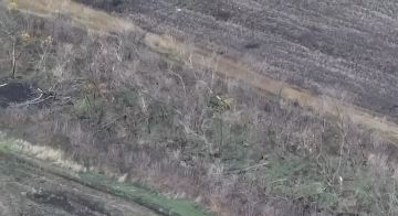 Владимир Разин: Так выглядит контрнаступление ВСУ под Покровском