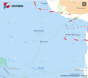 По данным противника ВС РФ, наступая от Павловки и южнее, продвинулись на 5 км западнее фронтом шириной до 15 км. Это рекордное продвижение за сутки наступления