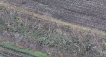 «Эффект домино»: Покровск фактически взят