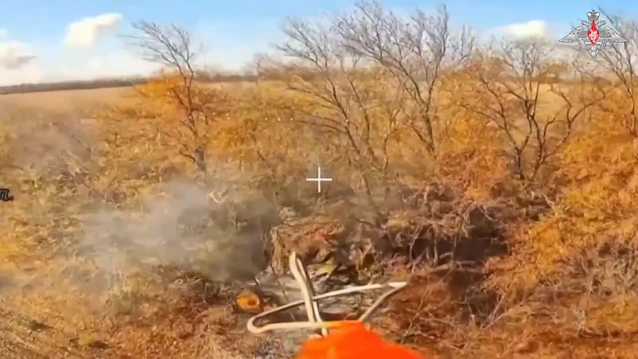 Армия России освободила населённый пункт Волчье в Днепропетровской области