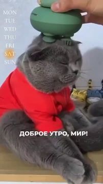 Если вы хотите сделать что-то великое в один прекрасный день, помните: один прекрасный день — это сегодня