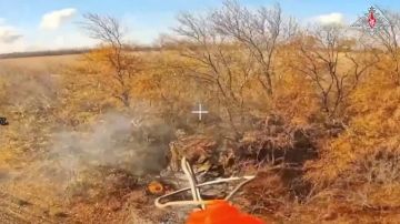  :   36-   29-            ,       ...