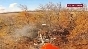 Штурмовики продвинулись вглубь обороны ВСУ более чем на три километра, освободив Волчье в Днепропетровской области