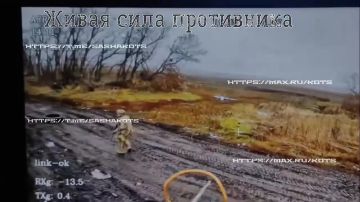 Александр Коц: Мастера «килл-зоны». Так украинцы называют территорию смерти, полосу вдоль линии фронта шириной до 30 километров, где любое появление - это фатальная лотерея