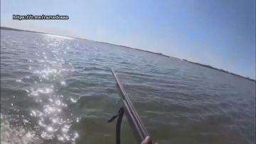 Алексей Васильев: Размышления о не самом очевидном