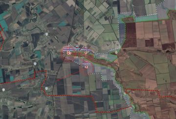   5   36    ""               ()