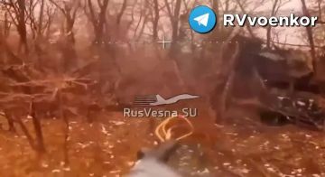 «тважные» штурмуют Покровск и наступают в Днепропетровской области