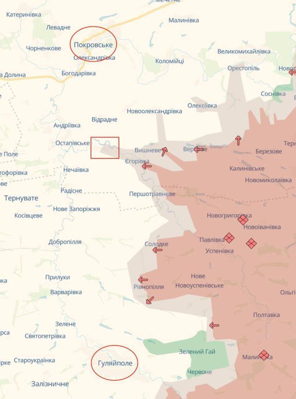 Алексей Живов: Российская армия, заняв Даниловку в Днепропетровской области, нарушила логистику ВСУ в Гуляйполе с севера