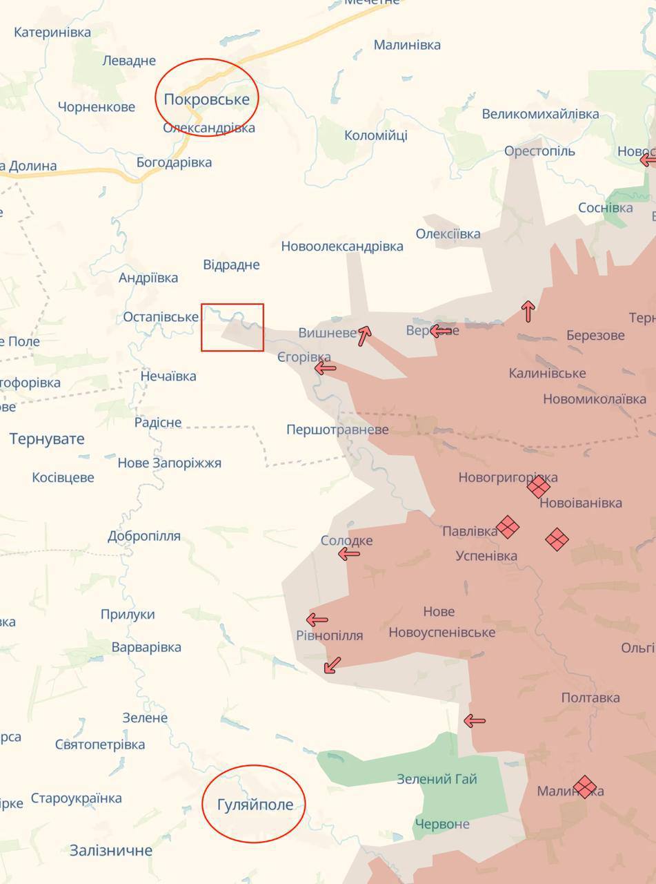 Алексей Живов: Российская армия, заняв Даниловку в Днепропетровской области, нарушила логистику ВСУ в Гуляйполе с севера