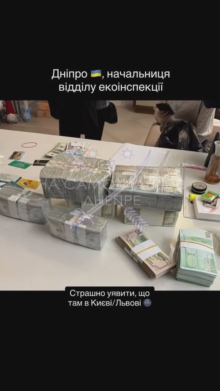 Хапуги никак не нажрутся. В Днепре задержали начальницу отдела экоинспекции
