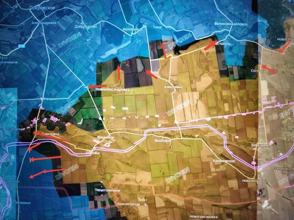 ���� �������: ����������� ����������� (������ �����)