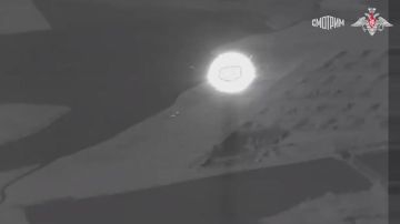 Минобороны РФ показало кадры удара по позициям ВСУ у Васильевского в Днепропетровской области