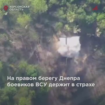 ВСУ проспали решающий удар: огненный «Град» сжёг боевиков вместе с техникой под Запорожьем