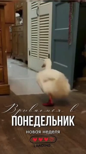 Сложнее всего начать действовать, всё остальное зависит только от упорства