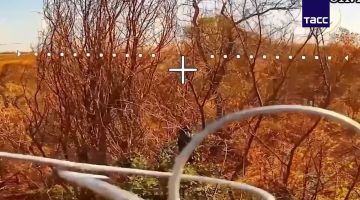 Владимир Разин: Бойцы "Днепра" уничтожили автотехнику, орудие, наблюдательный пункт и антенну ВСУ