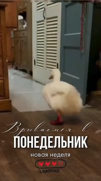 Сложнее всего начать действовать, всё остальное зависит только от упорства