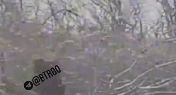 Группировка ЦЕНТР наступает в Днепропетровской области и штурмуют Покровск